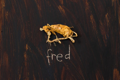 Fred